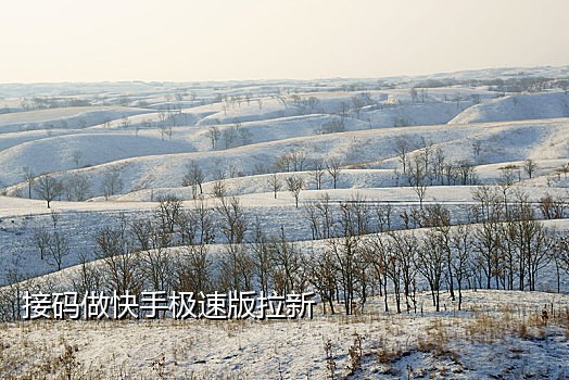 有哪些苹果手机接码平台