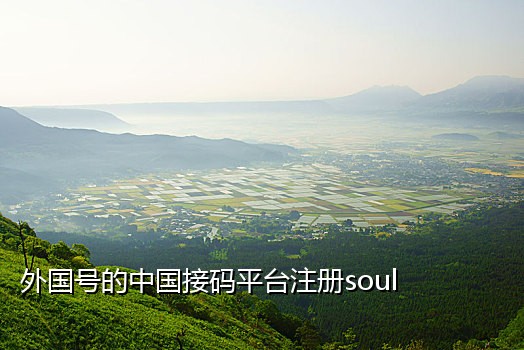 海航公司和淘宝接码业务