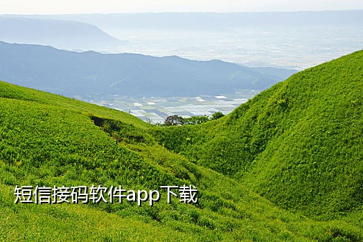 国外代接短信验证码软件有哪些