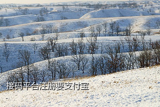 饿了么注册接码扫号软件