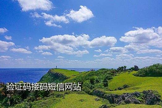 给虎牙直播接验证码