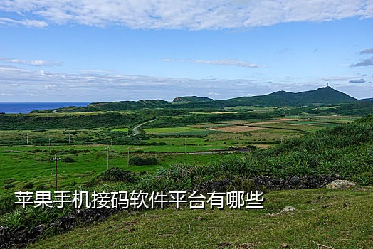 饿了么接码哪个平台好