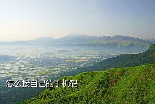 短租接码软件手机可以用吗