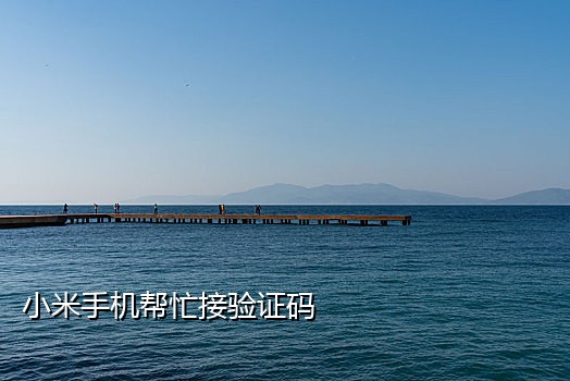 短信验证码在线接码