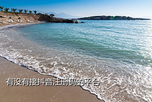 短信验接码源码
