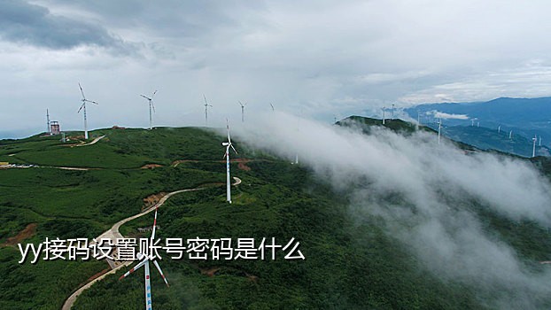 短信接码验证码在线验证