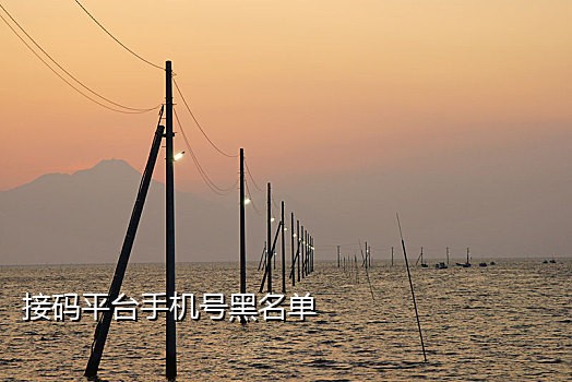 短信接码验证码平台免费