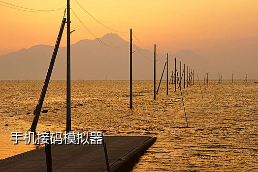 短信接码新平台