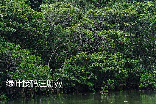 短信接码设备