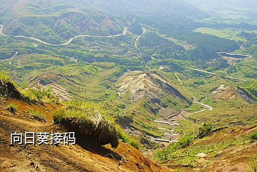 短信接码软件哪个好用点