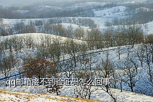 短信接码全套源码