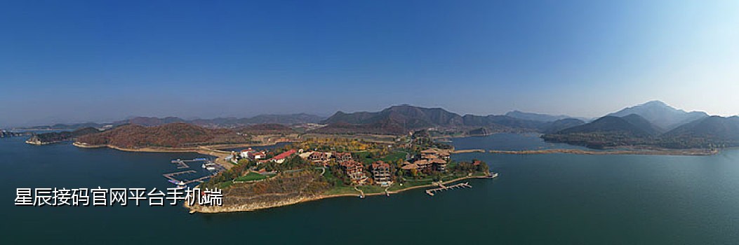 短信接码平台破解版