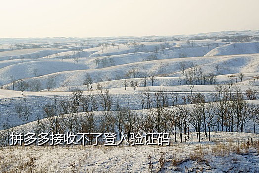 饿了么接码年卡是什么意思