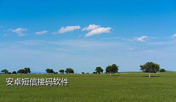 抖音石卡接码