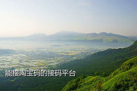 抖音快手注册接码平台
