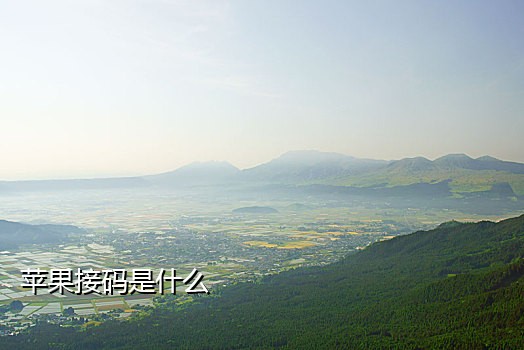 德芙云短信接码注册