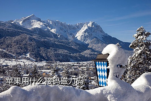 大陆手机接line验证码