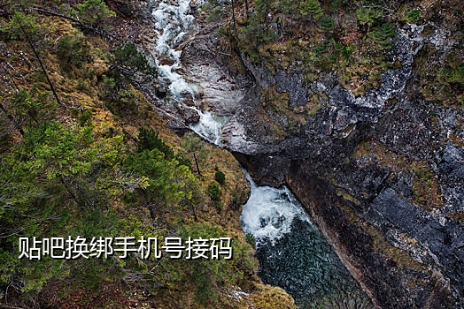 绑定微信的接码平台