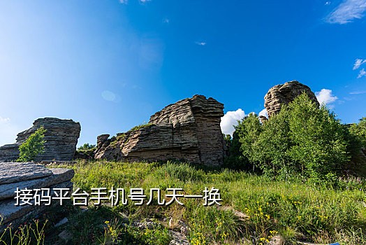 qq接码平台怎么做
