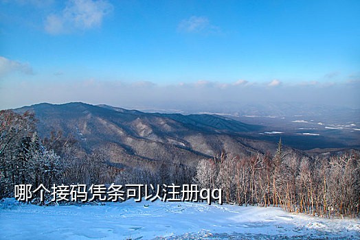 qq接码号