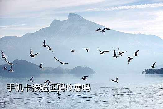 最新收费接码短信平台下载