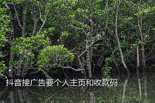 自动接码平台手机版