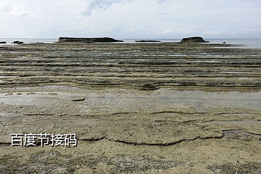 注册line接码软件