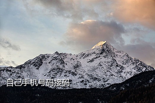知乎接码软件
