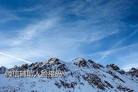 短信接码用什么项目