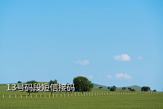 怎么从手机卡上面接验证码