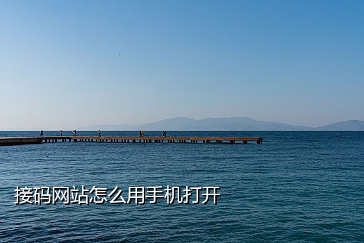 短信接码网站是什么