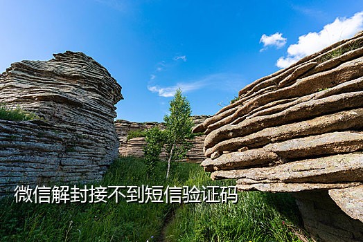 短信接码网页端源码