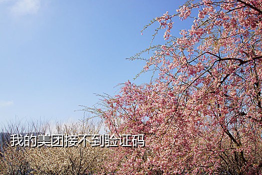 语音加短信接码