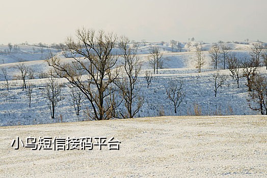 银行短信验证码接不到短信