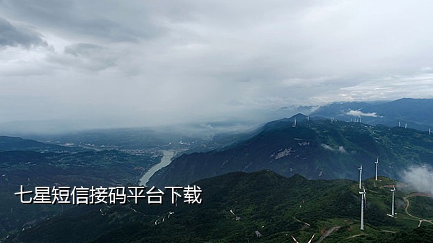 虚拟手机号短信接码器