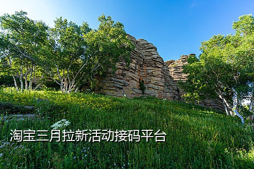 短信接码渠道有哪些类型