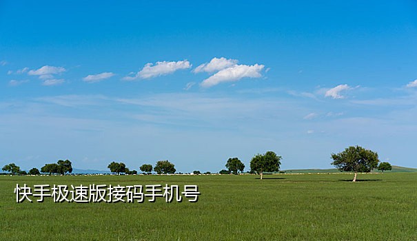 星空接码手机版