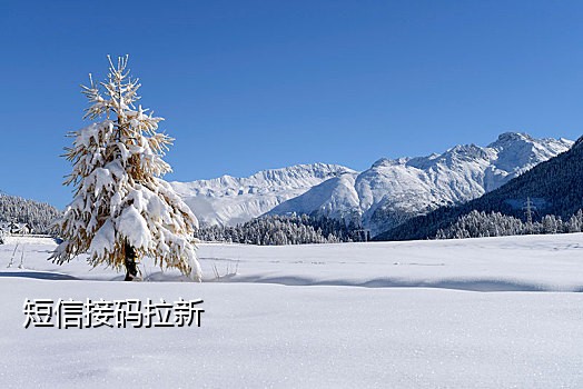 小红书接码器