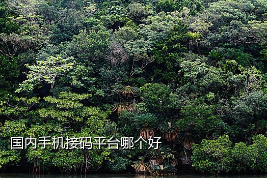 短信接码平台充值少