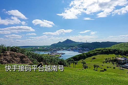 网易云接码手机