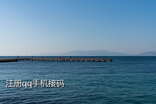 王卡接码快手