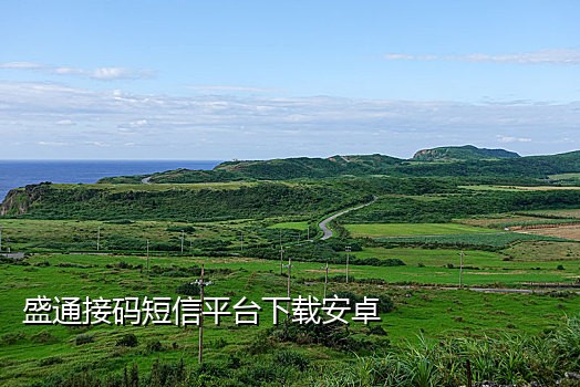 外国手机接码