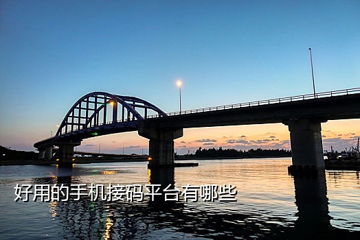 天堂w手机接码平台
