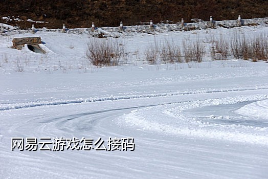 探探注册接码那个好