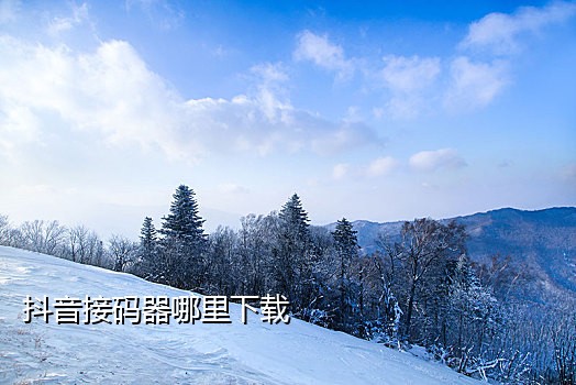 泰国手机号接不到验证码