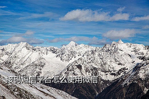 速码短信接码