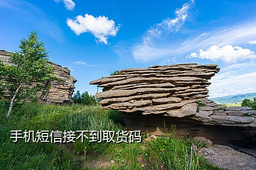 短信接码按键精灵特邀
