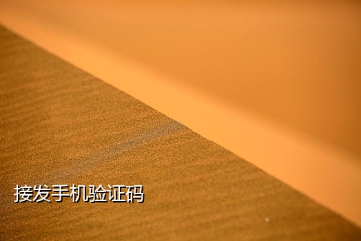 手机接码验证平台下载软件