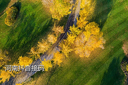 手机接码四方转码怎么接