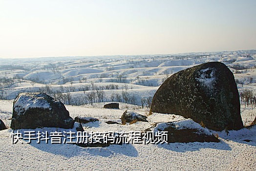 手机接码平台网页版